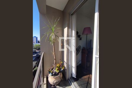 Varanda da Sala de apartamento à venda com 3 quartos, 62m² em Parque Bristol, São Paulo