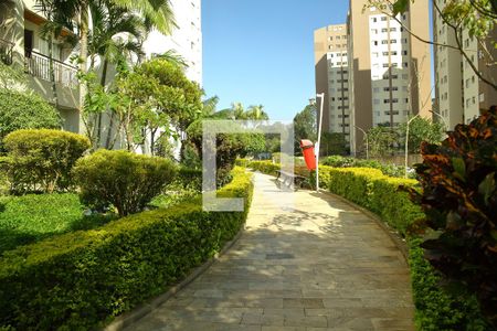 Área comum de apartamento à venda com 3 quartos, 69m² em Planalto, São Bernardo do Campo