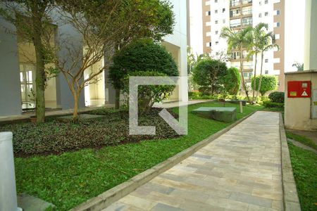 Área comum de apartamento à venda com 3 quartos, 69m² em Planalto, São Bernardo do Campo