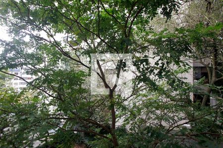 Quarto 1 Vista de apartamento para alugar com 3 quartos, 152m² em Rio Branco, Porto Alegre