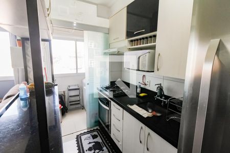 Cozinha - Armários de apartamento à venda com 2 quartos, 45m² em Jardim Umarizal, São Paulo