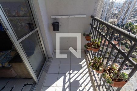 Varanda de apartamento à venda com 2 quartos, 50m² em Vila Moreira, São Paulo