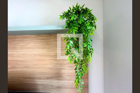 Studio de apartamento para alugar com 1 quarto, 28m² em Barra Funda, São Paulo