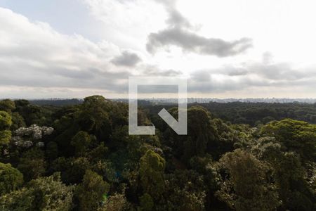 Vista da Varanda  de apartamento para alugar com 2 quartos, 45m² em Vila Moraes, São Paulo