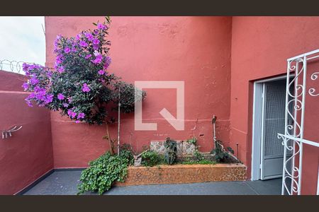 Quintal de casa para alugar com 2 quartos, 150m² em Vila Camilópolis, Santo André