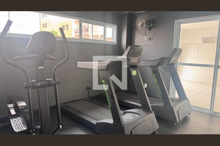 Área comum - Academia de apartamento à venda com 2 quartos, 62m² em Jardim das Bandeiras, Campinas