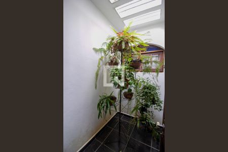 Jardim de Inverno de casa à venda com 5 quartos, 301m² em Vila do Castelo, São Paulo