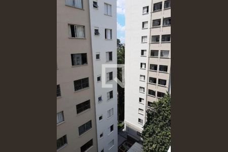 Apartamento à venda com 2 quartos, 50m² em Vila Campestre, São Paulo