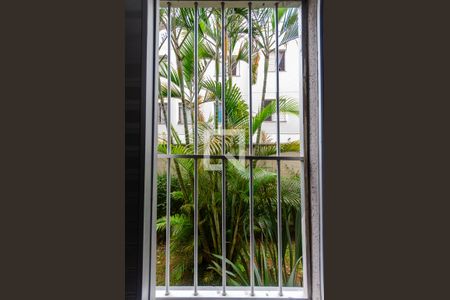 Quarto 1 - Janela de apartamento para alugar com 2 quartos, 46m² em Jaraguá, São Paulo