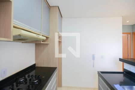 Cozinha de apartamento para alugar com 2 quartos, 43m² em Jd Reserva Real, Ribeirão Preto