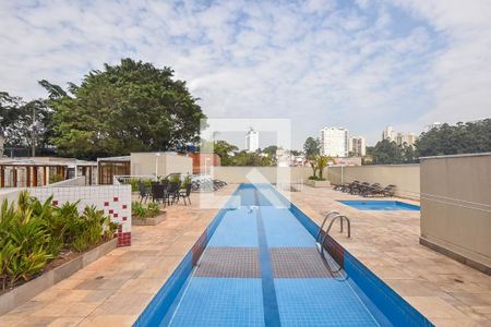Piscina de apartamento para alugar com 1 quarto, 45m² em Fazenda Morumbi, São Paulo
