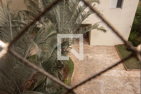 Vista do Quarto 1 de apartamento à venda com 3 quartos, 84m² em Vila Monte Alegre, São Paulo
