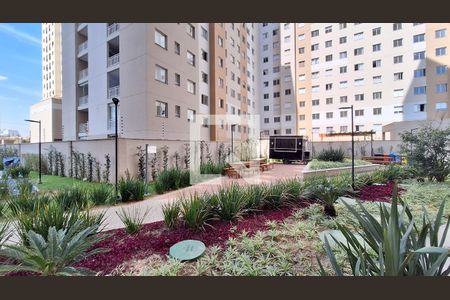 Vista Sala/Cozinha de apartamento para alugar com 1 quarto, 35m² em Várzea da Barra Funda, São Paulo