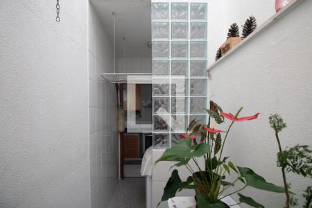 Área de Serviço de casa de condomínio para alugar com 3 quartos, 124m² em Vila Nova Mazzei, São Paulo