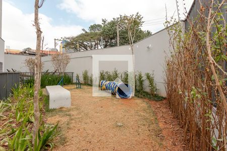 Espaço Pet de apartamento para alugar com 2 quartos, 65m² em Vila Cruzeiro, São Paulo