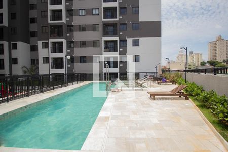 Área comum - Piscina de apartamento para alugar com 2 quartos, 38m² em Vila Marina, São Paulo