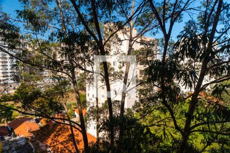 Vista do Quarto 1 de apartamento para alugar com 2 quartos, 47m² em Jardim Oriental, São Paulo
