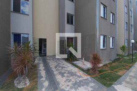 Fachada do Bloco de apartamento para alugar com 2 quartos, 46m² em Jardim Florence, Campinas