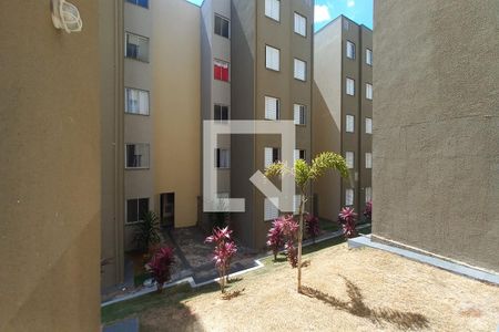 Vista da Sala de apartamento para alugar com 2 quartos, 46m² em Jardim Florence, Campinas
