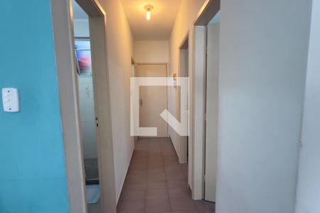 Corredor de apartamento para alugar com 1 quarto, 55m² em Vila Caiçara, Praia Grande