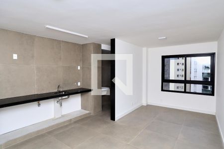 Sala/Cozinha de apartamento para alugar com 1 quarto, 56m² em Lourdes, Belo Horizonte