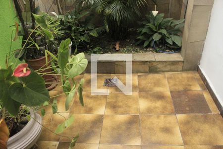 Jardim de inverno de casa para alugar com 4 quartos, 400m² em Vila Rosalia, Guarulhos