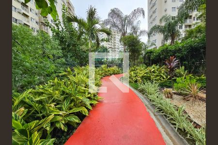 Bosque de apartamento para alugar com 2 quartos, 52m² em Del Castilho, Rio de Janeiro