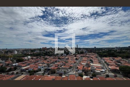 Apartamento à venda com 3 quartos, 105m² em Nova Campinas, Campinas