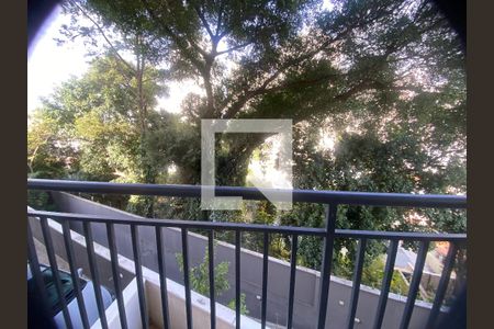 Kitnet/Studio para alugar com 1 quarto, 28m² em Santana, São Paulo
