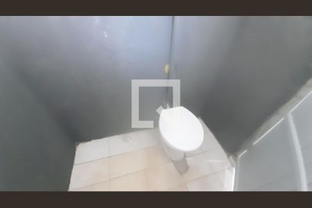 Banheiro da Suíte de casa para alugar com 1 quarto, 60m² em Centro, Uberlândia