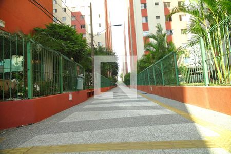 Área comum de apartamento à venda com 2 quartos, 61m² em Jardim Copacabana, São Bernardo do Campo