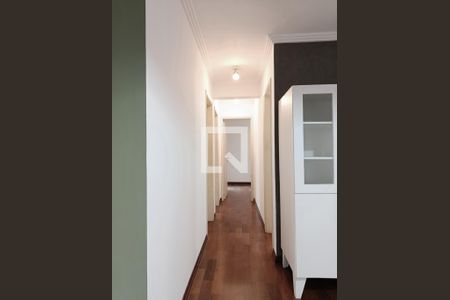 Corredor de apartamento para alugar com 3 quartos, 88m² em Paraíso, São Paulo
