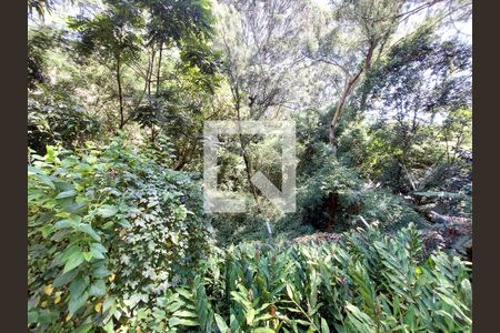 Área comum de apartamento à venda com 3 quartos, 70m² em Jardim Taquaral, São Paulo