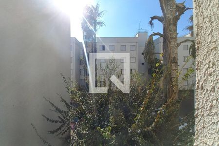 Vista da sala  de apartamento à venda com 2 quartos, 55m² em Jardim Miranda, Campinas