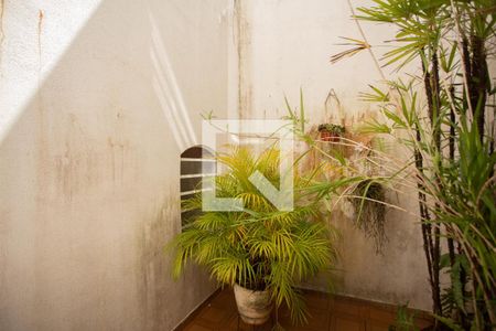 Área Externa de casa para alugar com 4 quartos, 380m² em Vila Barbosa, São Paulo