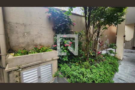 Jardim de apartamento para alugar com 1 quarto, 60m² em Gonzaga, Santos