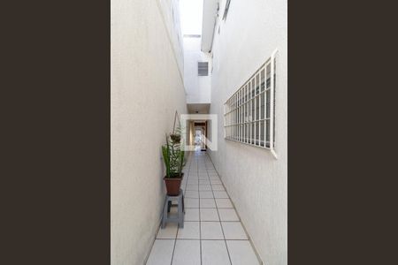 Corredor Lateral de casa à venda com 3 quartos, 126m² em Vila Raquel, São Paulo