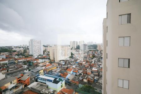 Vista Sala de apartamento para alugar com 3 quartos, 74m² em Vila Sao Paulo, São Paulo