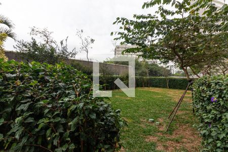 Área comum de kitnet/studio para alugar com 1 quarto, 35m² em Indianópolis, São Paulo