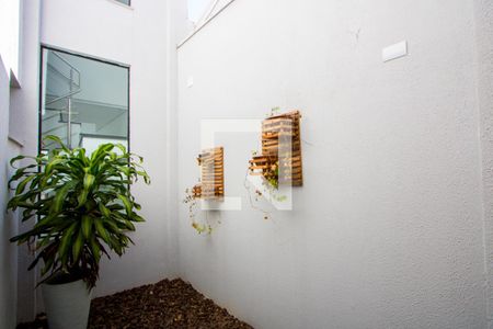 Sala - Jardim de inverno de casa à venda com 3 quartos, 190m² em Vila Guiomar, Santo André