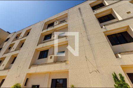 Área externa de kitnet/studio para alugar com 1 quarto, 30m² em Jardim Cidade Pirituba, São Paulo