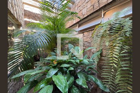 Jardim de inverno de casa à venda com 3 quartos, 177m² em Jardim, Santo André