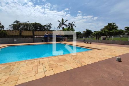 Área comum - Piscina de apartamento à venda com 2 quartos, 62m² em Conjunto Residencial Parque Bandeirantes, Campinas