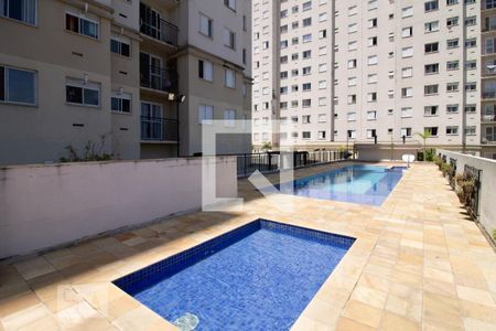 Área Comum - Piscina de apartamento à venda com 2 quartos, 48m² em Jardim Las Vegas, Guarulhos