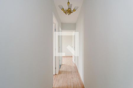 Corredor de apartamento para alugar com 2 quartos, 41m² em Vila Andrade, São Paulo