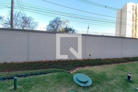 Vista do Quarto 1 de apartamento à venda com 2 quartos, 45m² em Jardim Ipaussurama, Campinas