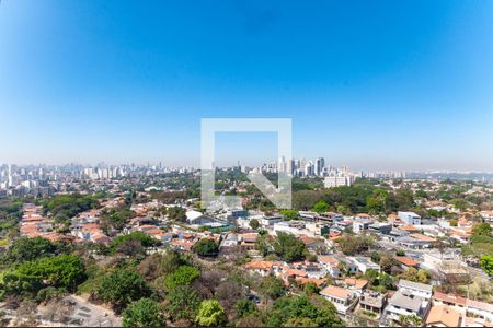 Vista Varanda Estendida de apartamento para alugar com 2 quartos, 50m² em Vila Anastácio, São Paulo