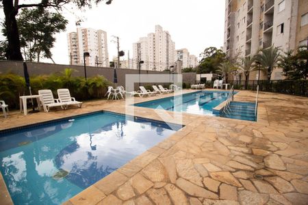 Área comum - Piscina de apartamento para alugar com 2 quartos, 53m² em Jardim Iris, São Paulo