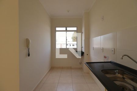 Cozinha de apartamento para alugar com 2 quartos, 45m² em Jardim Itau, Ribeirão Preto