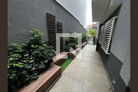 Área externa de apartamento para alugar com 1 quarto, 30m² em Vila Roque, São Paulo